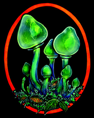 Click to enter painting gallery